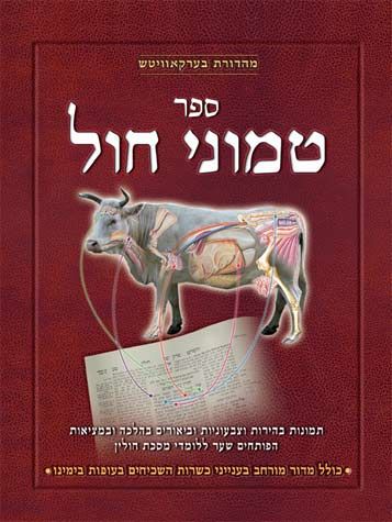 Chullin Illuminated, HEBREW Edition