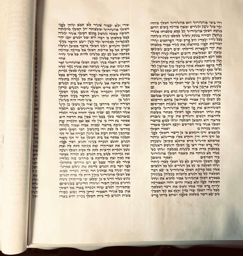 Adhaz
19"
#21790 אדה"ז