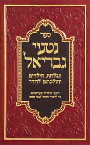 Nitei Gavriel Tiglachas Hayelodim