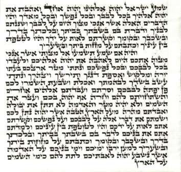 Ari Mezuzah Scroll 5 Inch-12cm Mehudar - 1   CALL TO ORDER