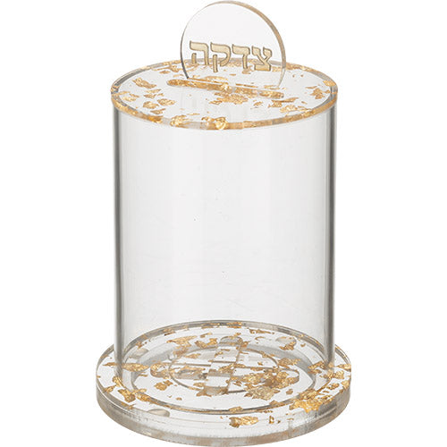 Perspex Tzedakah Box