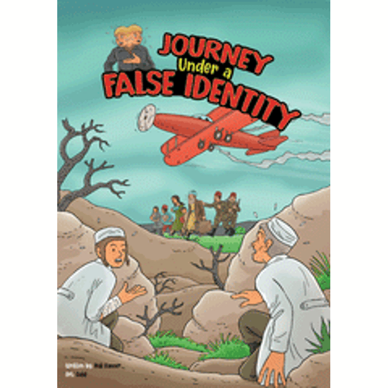 Journey Under a False Identity book cover