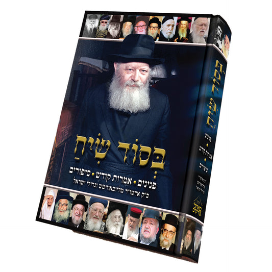 בסוד שיח אדמור מלובביץ