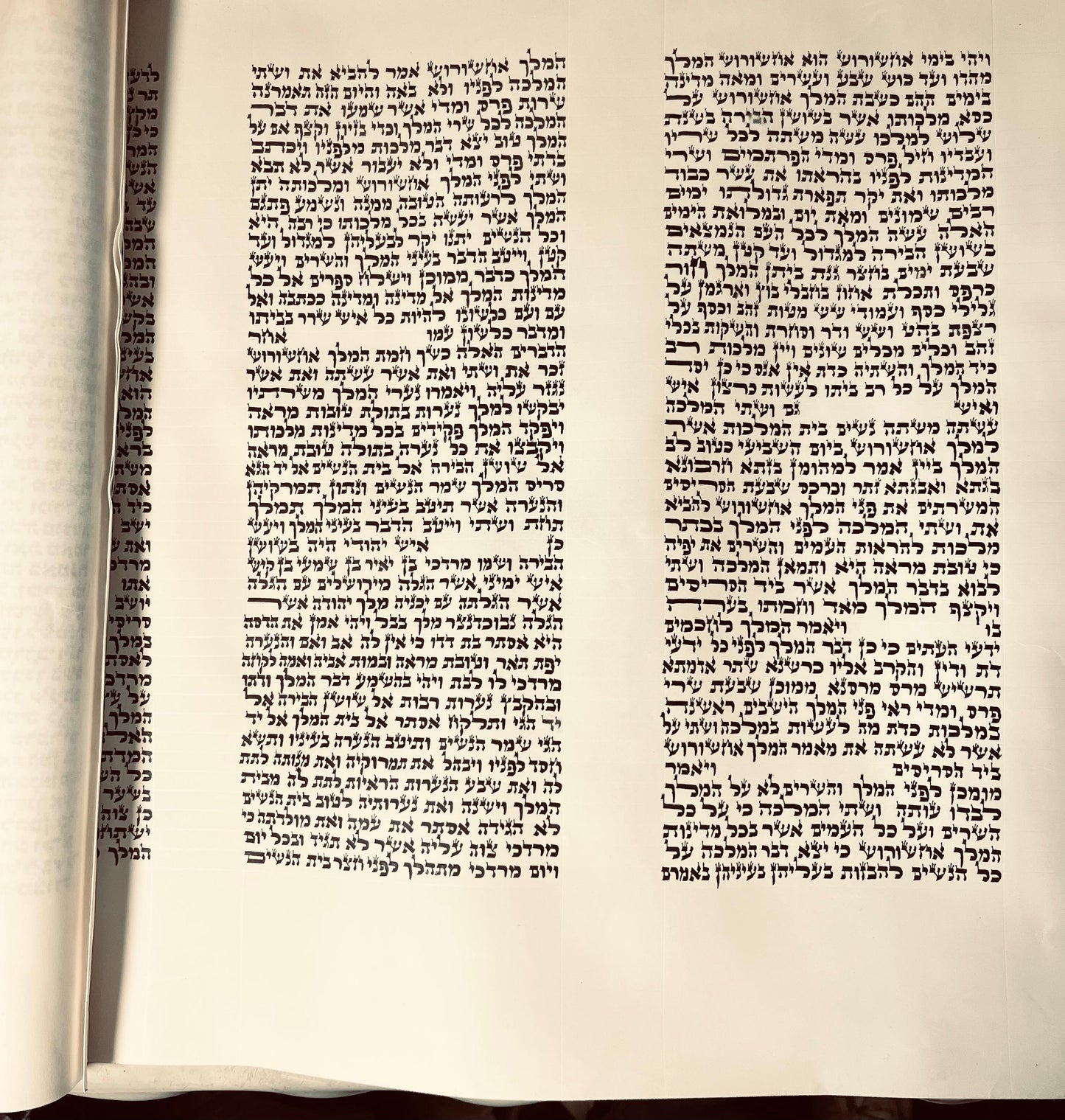 אדה"ז Adhaz 19 inch #17834