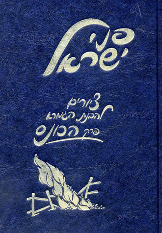 P'nei Yisrael (Perek Hakoneis)