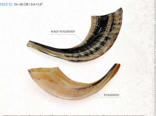 shofar size e