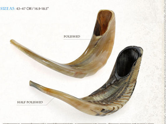 shofar size-a