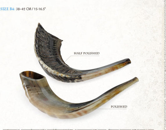 shofar size-b