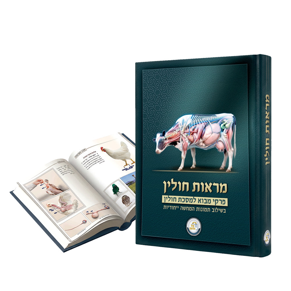 Cover of Hebrew book Yefe Nof item 5839