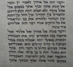 Sefer Torah Scroll-Ksav ADHAZ Chabad-0