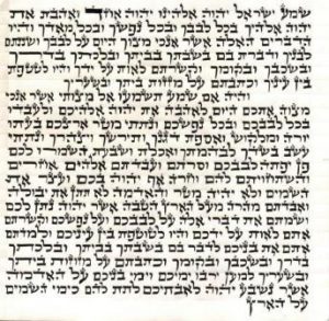 Ari Mezuzah Scroll 5 Inch-12cm Mehudar-1-0