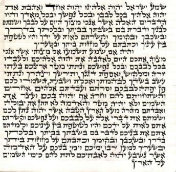 Ari Mezuzah Scroll 5 Inch-12cm Mehudar-1 CALL TO ORDER – Merkaz Stam