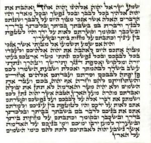 Ari Mezuzah Scroll 5 Inch-12cm Mehudar-3-0