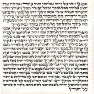 Ari Mezuzah Scroll 5 Inch-12cm Mehudar-2-0