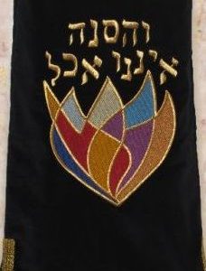 Torah Mantle M-Snai-0