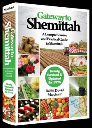 Gateway to Shemittah - A Comprehensive and Practical Guide to Shemittah-0