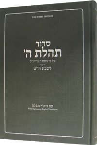 Shabbos & Yom Tov Siddur for Youth with English - Weiss Edition-0